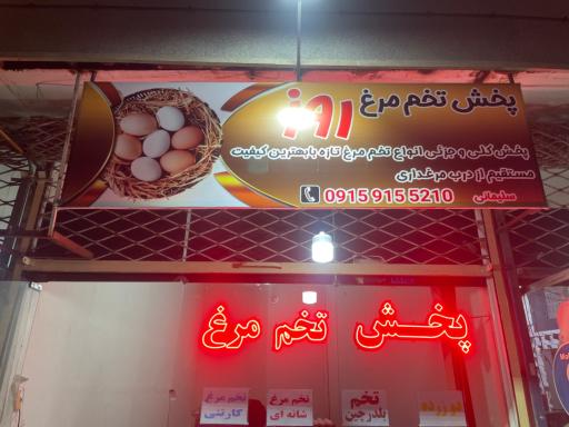 عکس پخش تخم مرغ روز