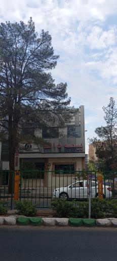 عکس بیمه دانا