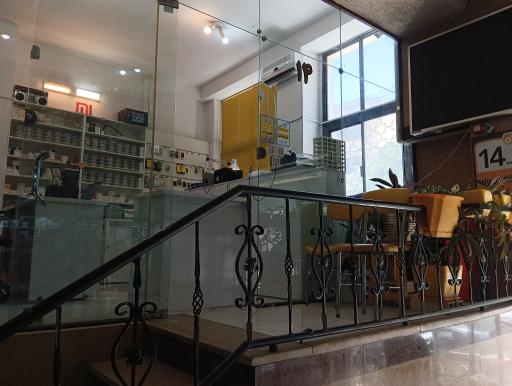 عکس رامان همراه