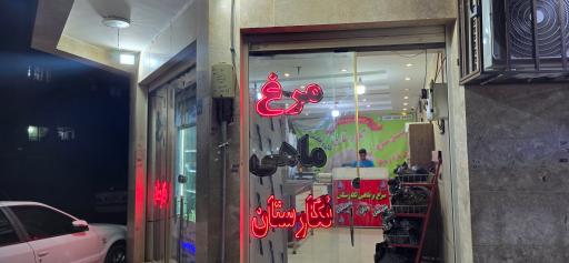 عکس مرغ و ماهی نگارستان