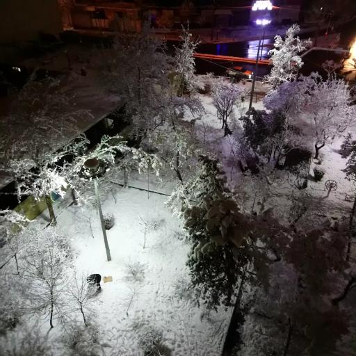 عکس بوستان اقاقیا (کارون)