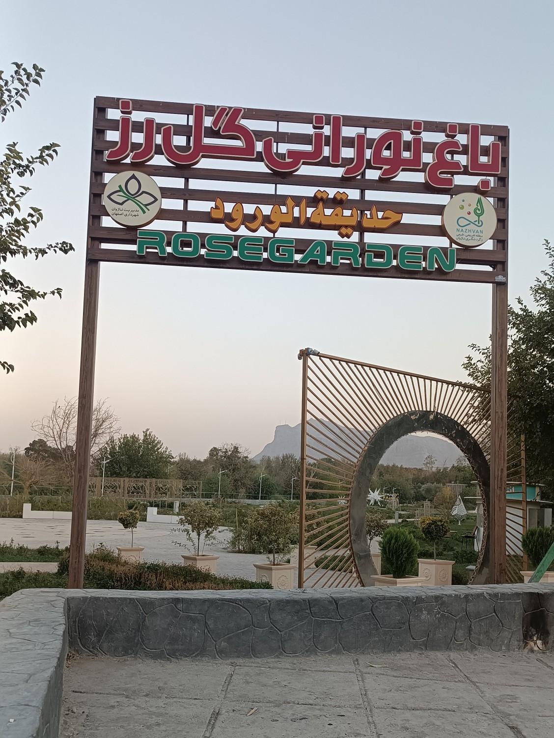 عکس باغ نورانی گل رز