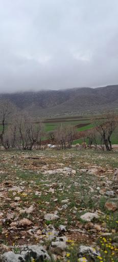 عکس اسلام آباد غرب