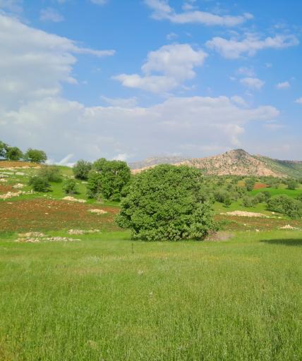 عکس اسلام آباد غرب