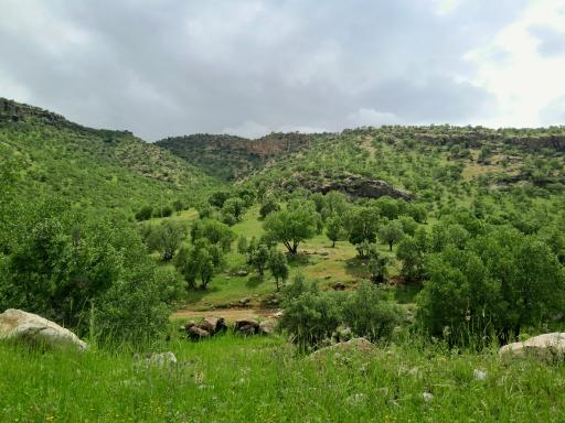 عکس اسلام آباد غرب