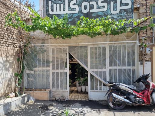 عکس کاشمر