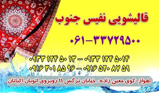 عکس قالیشویی نفیس جنوب 