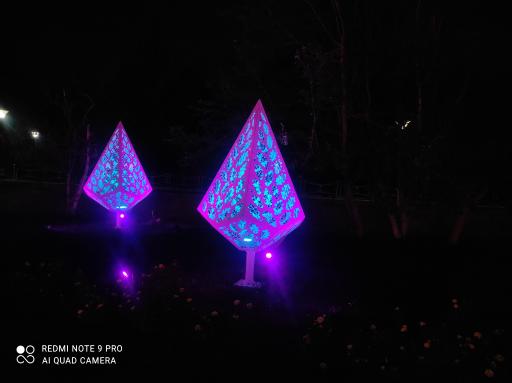 عکس باغ گل رز(باغ نوری)