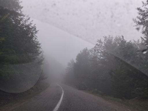 عکس آلاشت