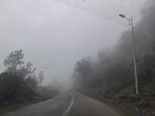 عکس آلاشت