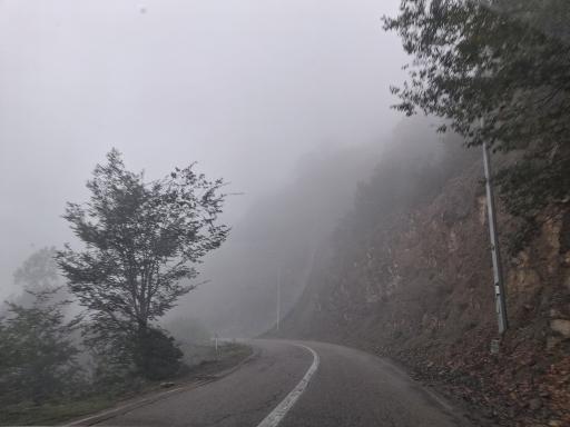 عکس آلاشت