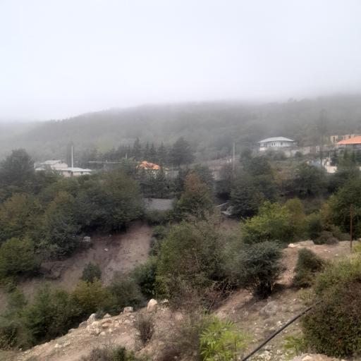 عکس آلاشت