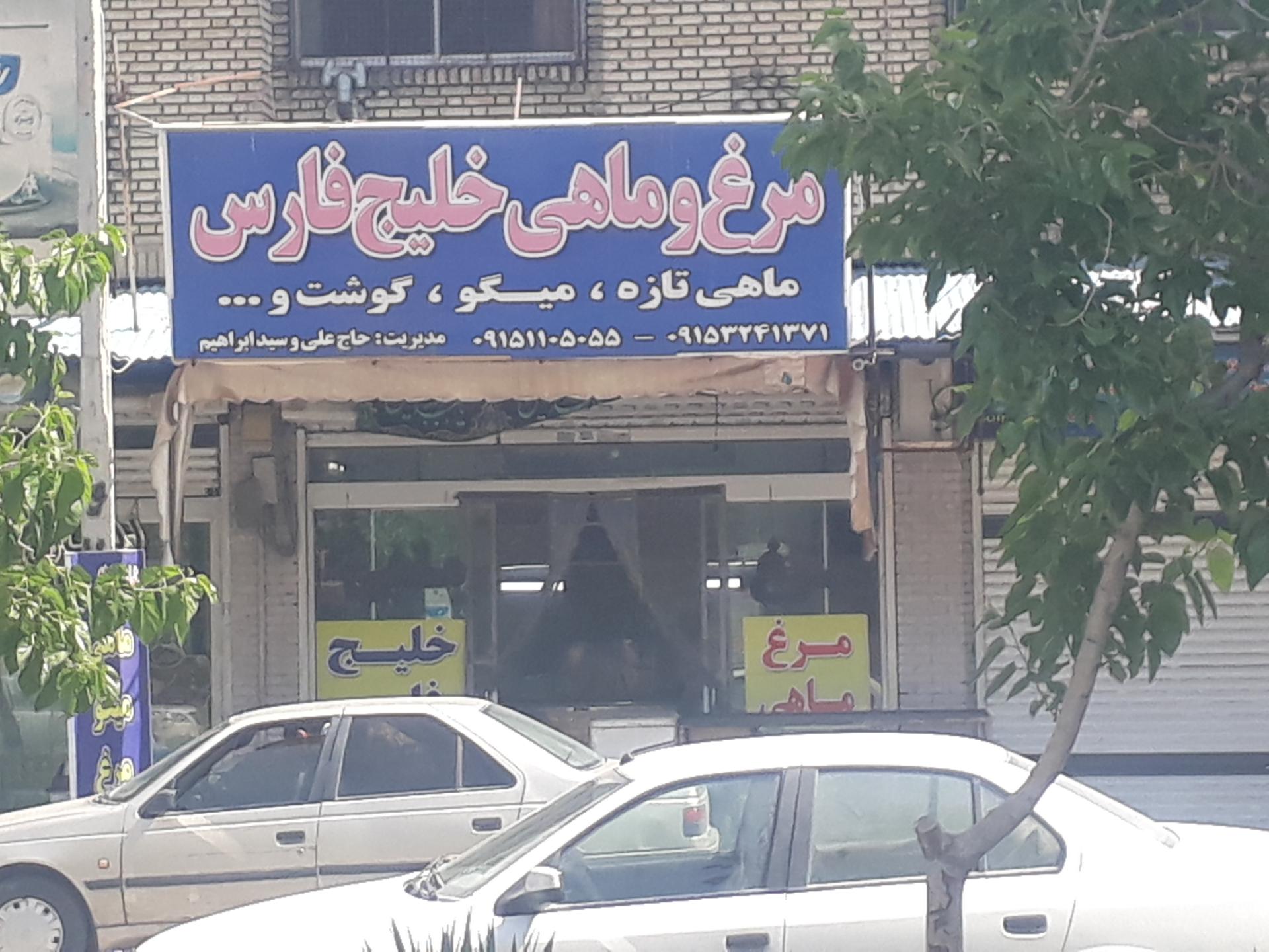 عکس مرغ و ماهی خلیج فارس