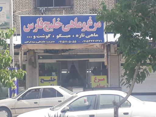 عکس مرغ و ماهی خلیج فارس
