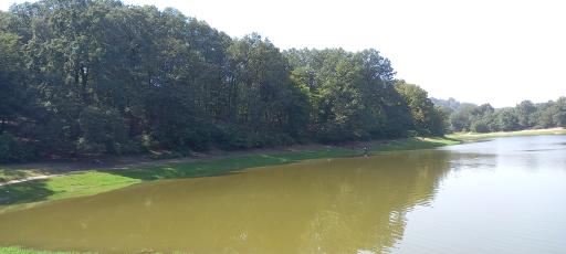 عکس مجموعه تاریخی و گردشگری عباس آباد