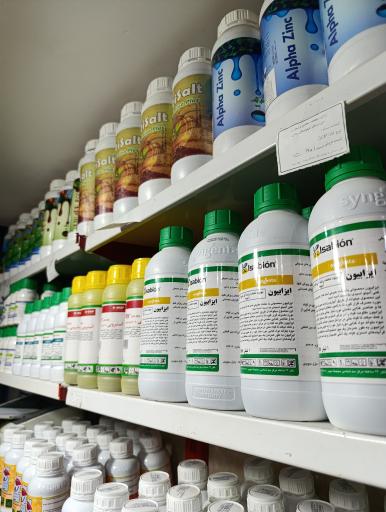 عکس اَمیر بَذر