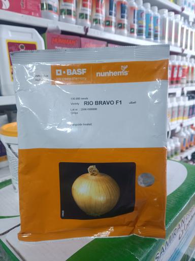 عکس اَمیر بَذر