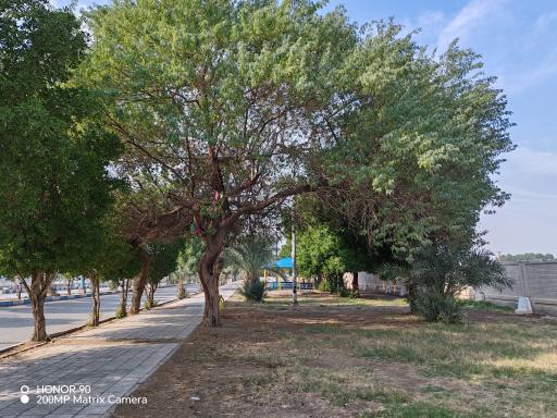 پارک یاداوران شلمچه