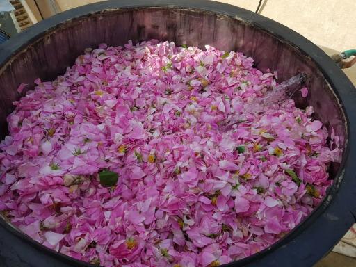 عکس عرقیجات گیاهی رحمانی