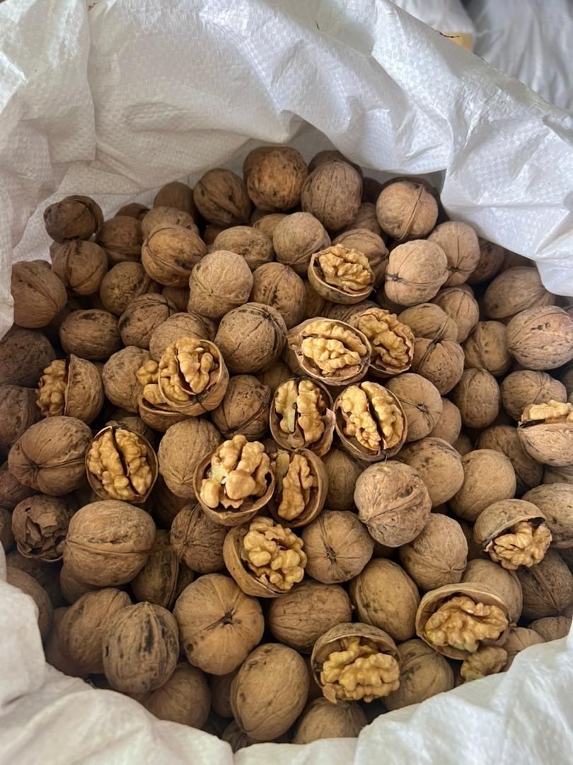 عکس شرکت بازرگانی آلفاتریدمجری و صادرکننده انواع حبوبات و خشکبار