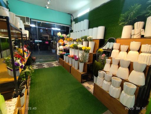 عکس گلکسیون