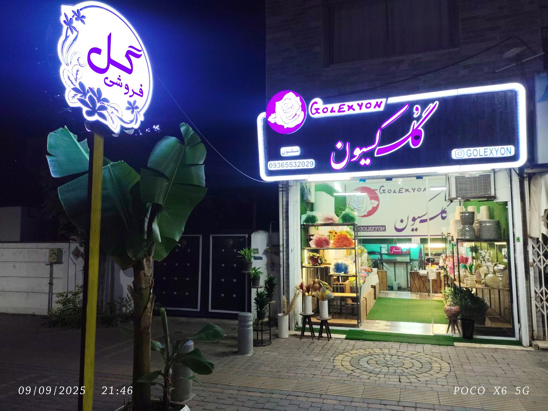 عکس گلکسیون