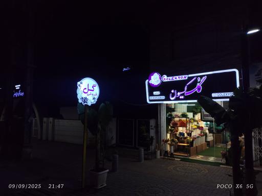 عکس گلکسیون