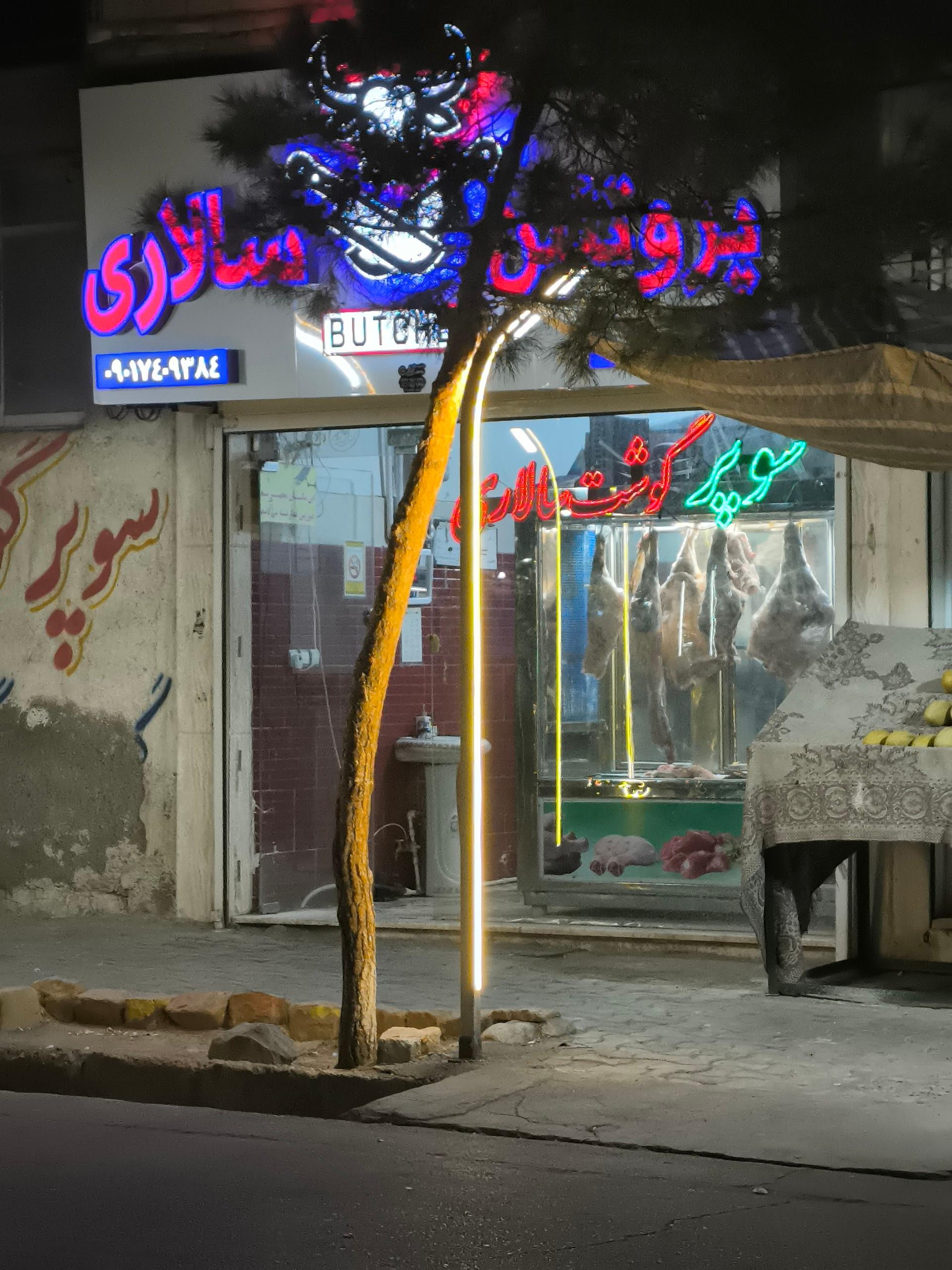 عکس پروتئین سالاری