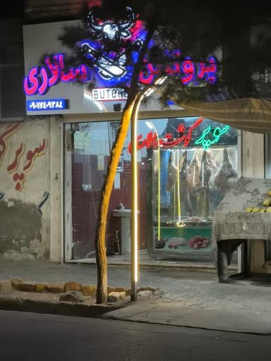 عکس پروتئین سالاری
