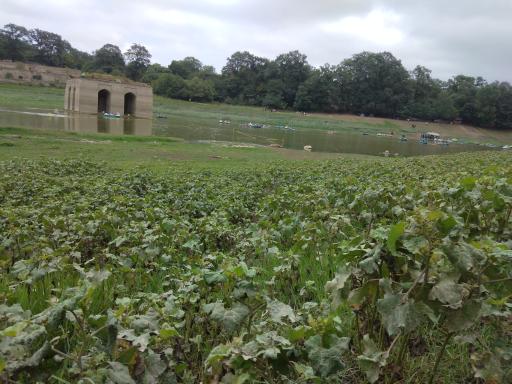 عکس مجموعه تاریخی و گردشگری عباس آباد