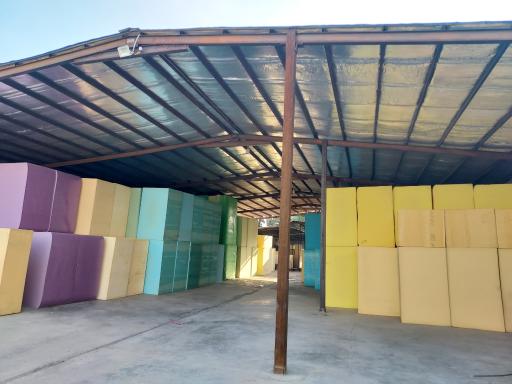 عکس اسفنج حسینی