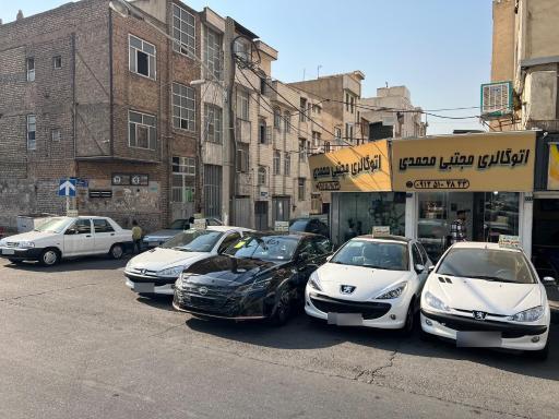 عکس اتو گالری مجتبی محمدی