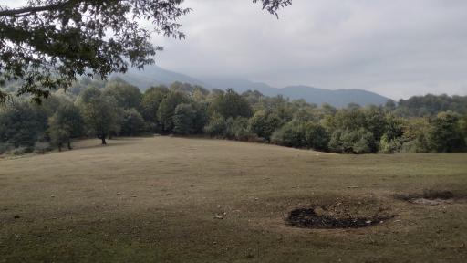 عکس جنگل نام نیک شاهرود