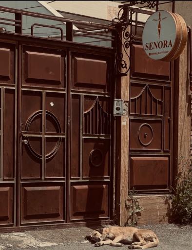 عکس آرایشگاه زنانه سنورا