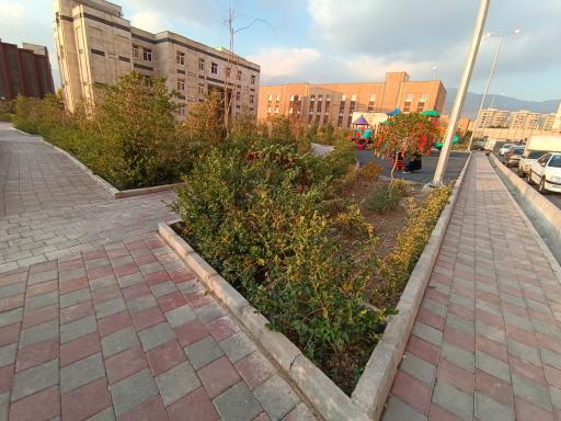 عکس بوستان رونیکا پالاس هروی