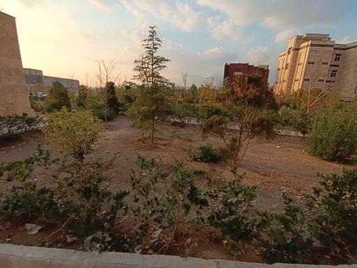 عکس بوستان رونیکا پالاس هروی