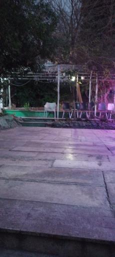 عکس دکتر کرمانشاهی