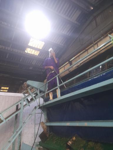 عکس شرکت دلوسه (آسیاب طلایی)