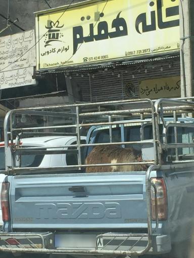 عکس لوازم کادویی و خانگی خانه هفتم