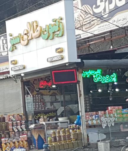 عکس زیتون طلای سبز