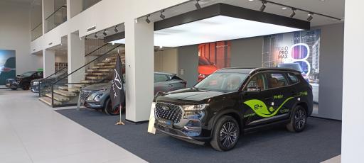 عکس نمایندگی فونیکس دلیلی