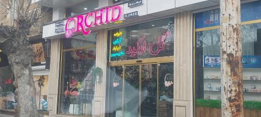 عکس گل فروشی ارکید