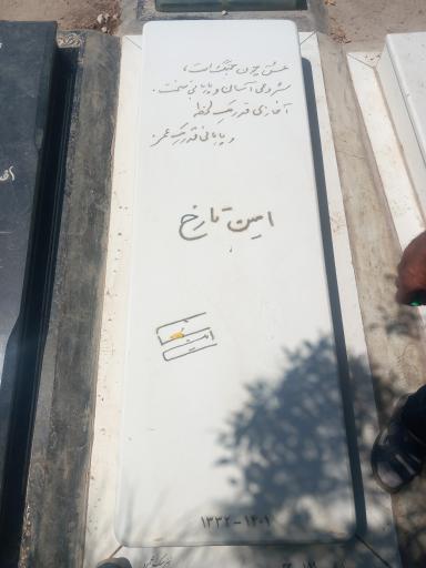 عکس مزار  امین تارخ