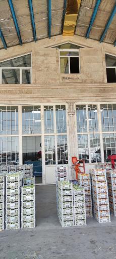 عکس بازرگانی اتحاد