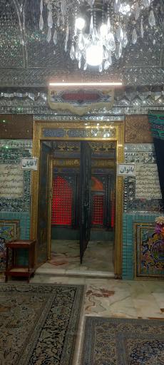 عکس امامزاده سید ناصر الدین (ع)