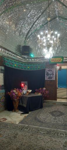 عکس امامزاده سید ناصر الدین (ع)