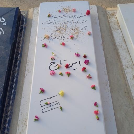 عکس مزار  امین تارخ