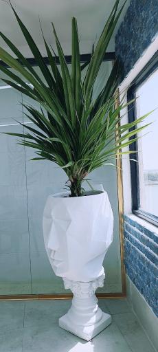 عکس مجموعه فست فود و کافه آکواریوم کنتاکی