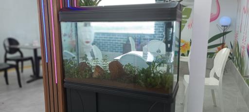 عکس فست فود آکواریوم