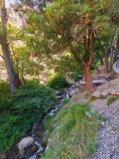 عکس بوستان دارآباد